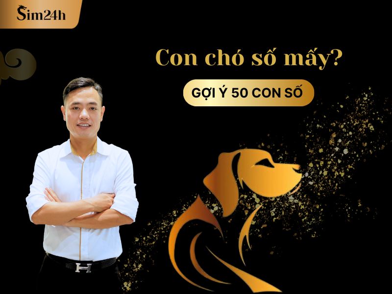 Con Chó Số Mấy Trong Số Đề? Gallery 2