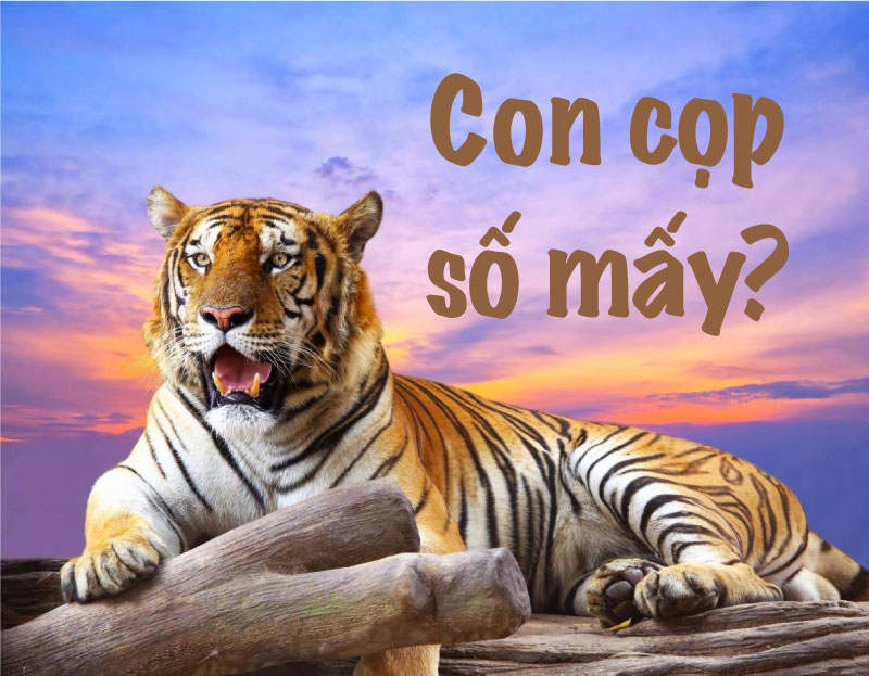 Con Cop Số May Là Gì?
