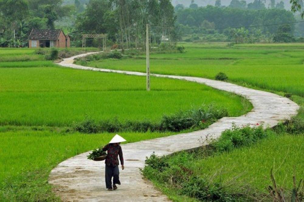 Con Đường Làng Quê - Vẻ Đẹp Bình Yên Của Miền Quê Việt Nam Gallery 2