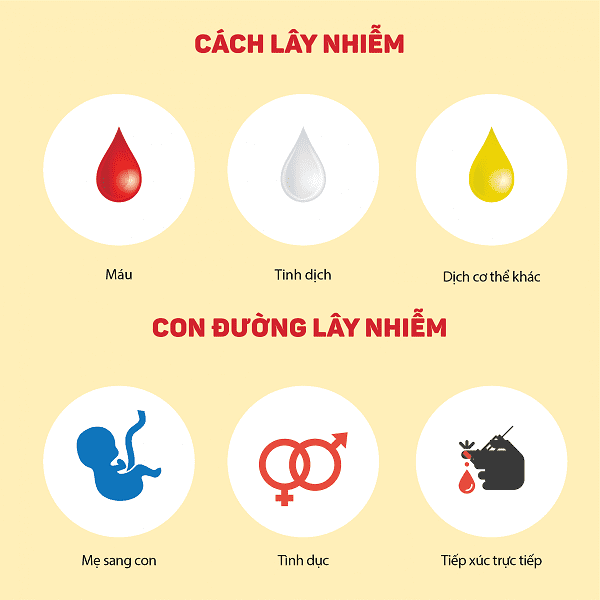 Con Đường Lây Nhiễm Viêm Gan B Gallery 2