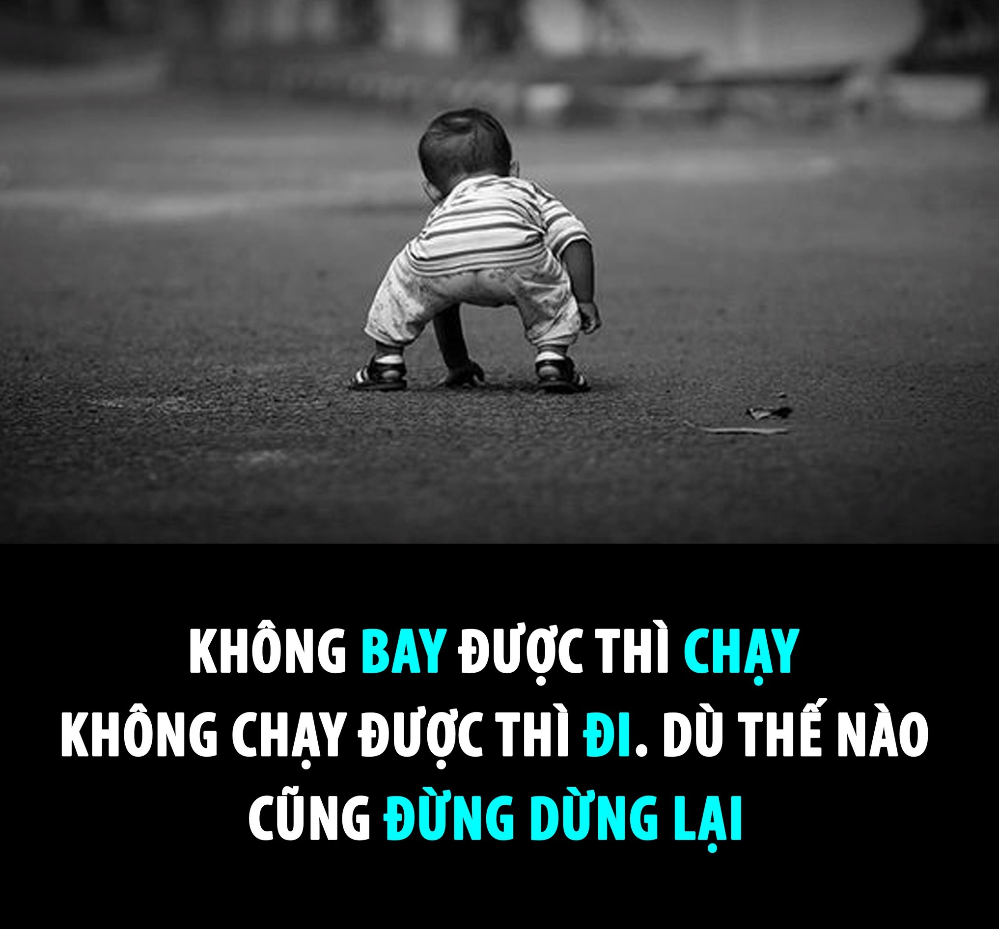 Nếu phía trước là một con đường Gallery 2