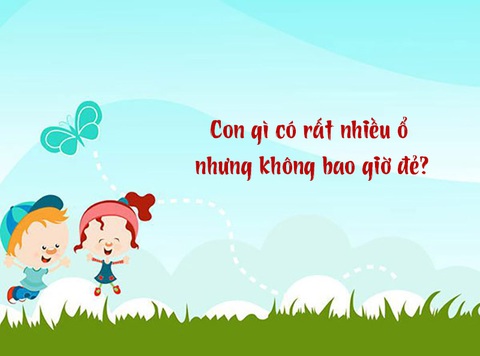 Con gì có ổ nhưng không bao giờ đẻ? Gallery 2