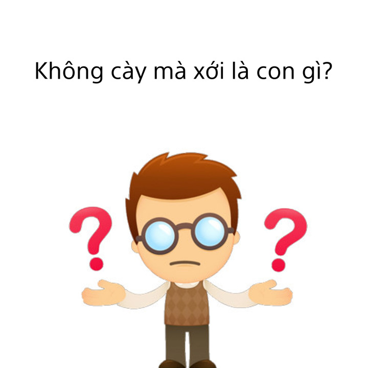 Con gì không cày mà xới?