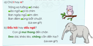 Con gì mũi thõng đến chân?
