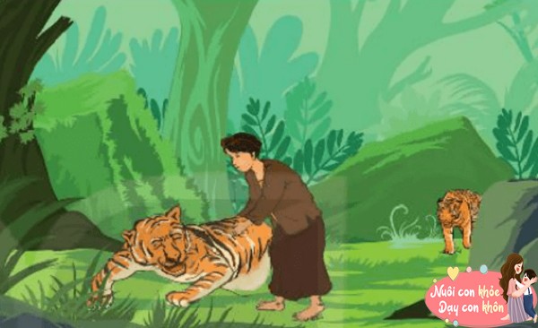 Con Hổ Có Nghĩa Là Gì?