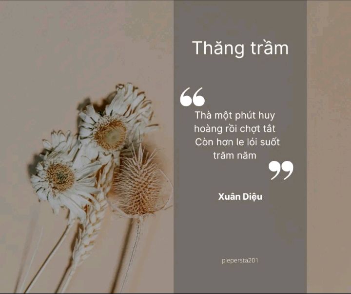 Còn hơn le lói suốt trăm năm
