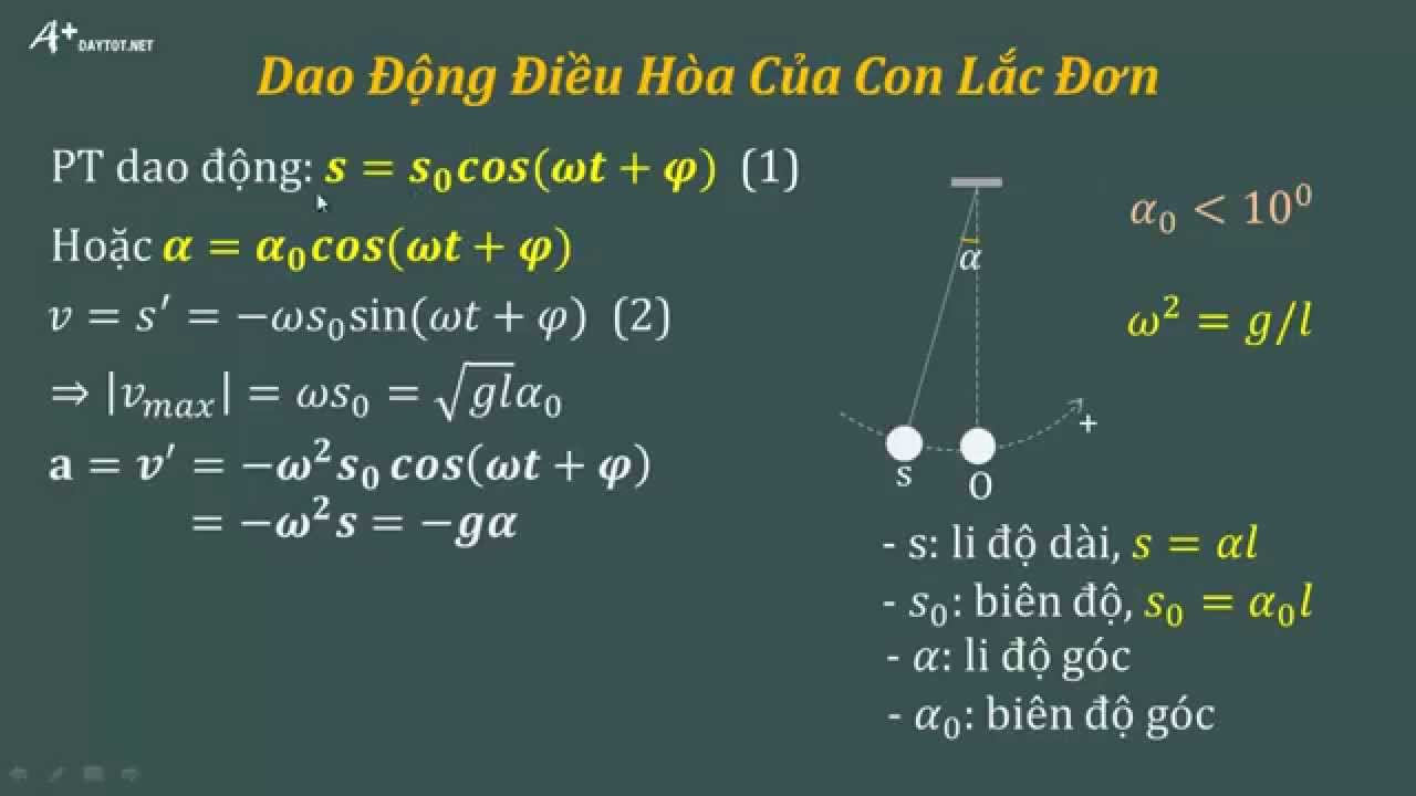 Con lắc đơn dao động điều hòa