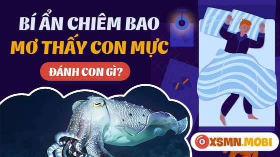 Con Mực Số Mấy?
