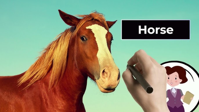 What is the English Word for Horse?