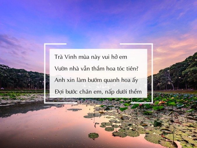 Thơ Về Trà Vinh - Vẻ Đẹp Miền Tây Gallery 2