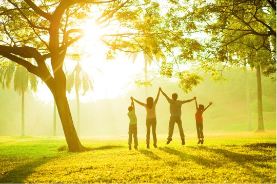 Con Người và Thiên Nhiên: Mối Quan Hệ Phức Tạp và Tương Lai Chung