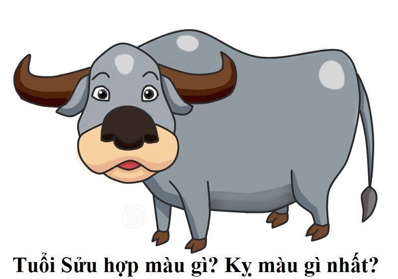 Con Trâu Màu Gì? Gallery 2