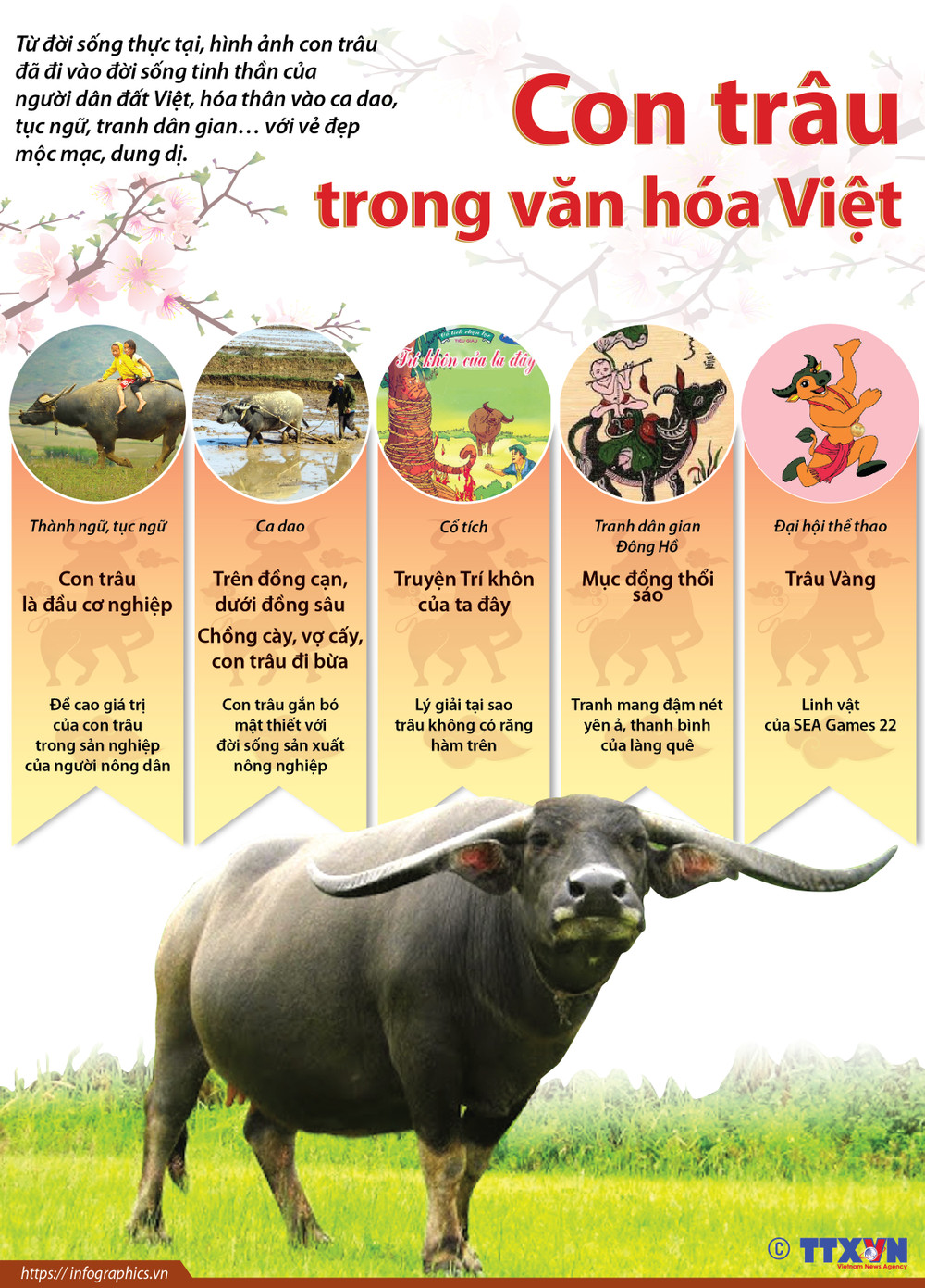 Con Trâu Số Mấy? Gallery 2