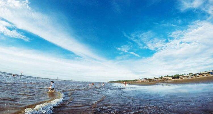 Cồn Vành Ở Đâu?