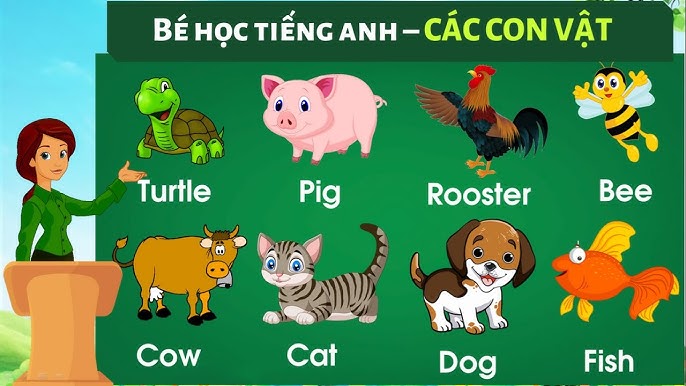 Con Vật Nói Tiếng Việt: Thực hư thế nào?