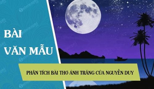 Phân tích ảnh trang: Hướng dẫn chi tiết và công cụ hữu ích Gallery 2
