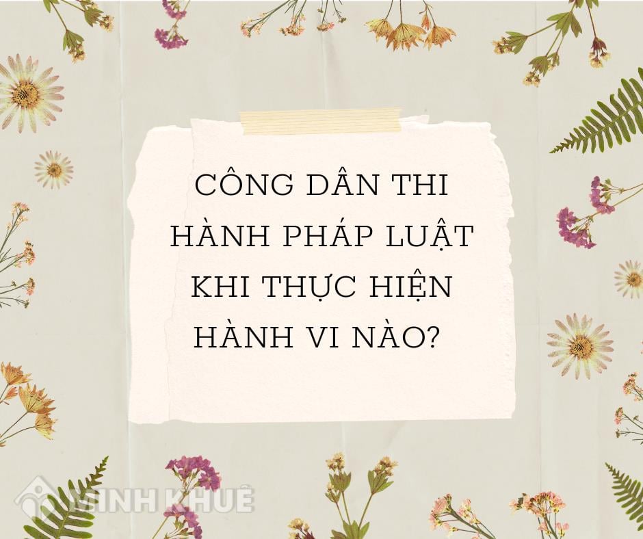 Công dân thi hành pháp luật khi thực hiện hành vi nào sau đây? Gallery 2