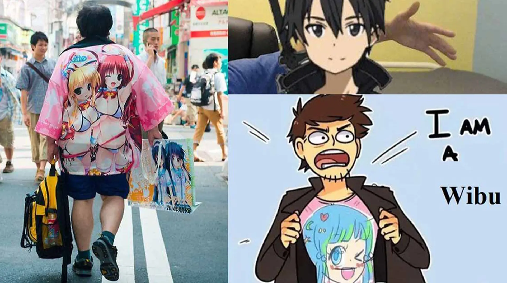 Anime Wibu là gì? Cộng đồng yêu thích Anime Nhật Bản Gallery 2