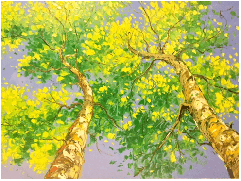 Cõi Lá Chân Trời Sáng Tạo Gallery 2