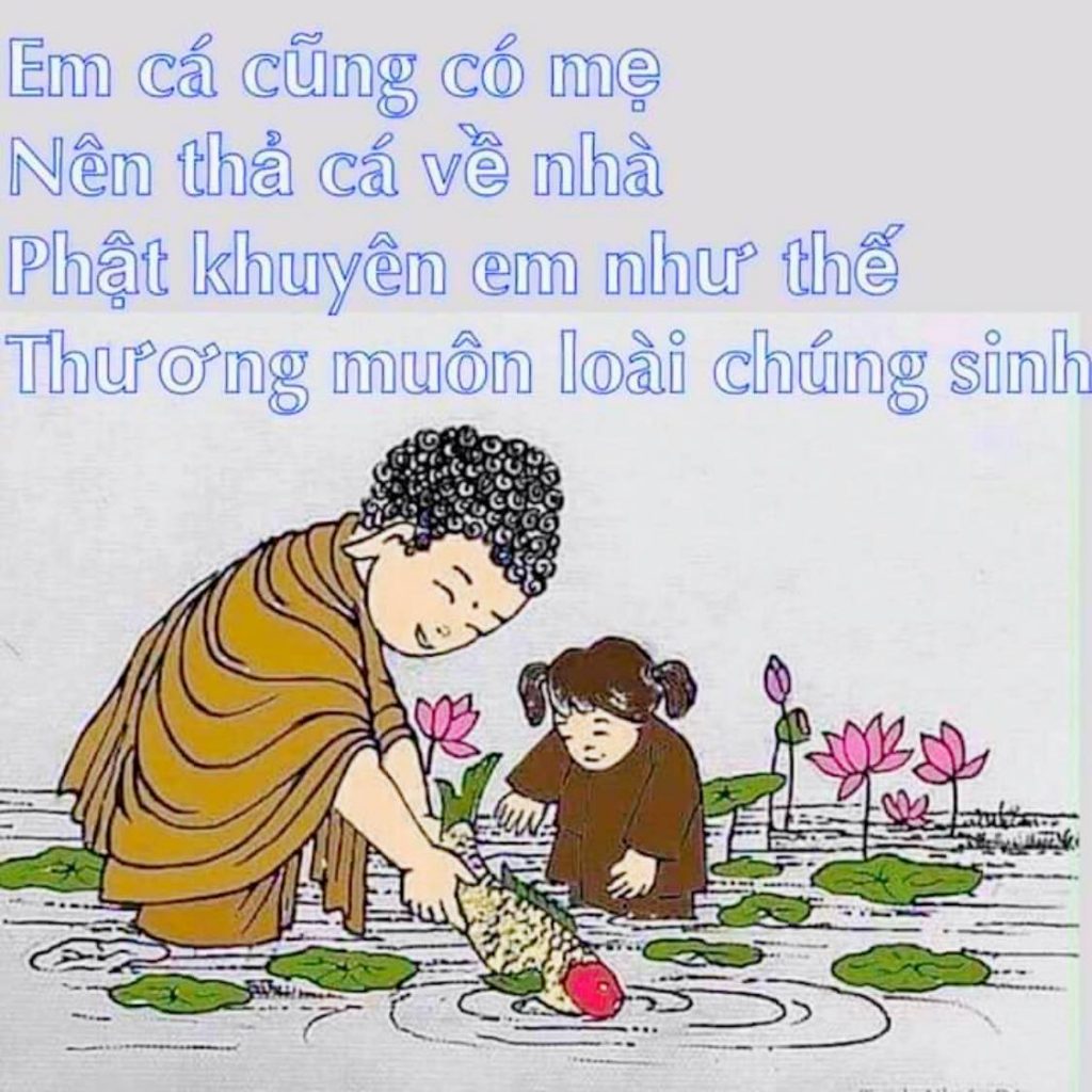 Phóng Sinh Công Đức Thù Thắng Hạnh Gallery 1