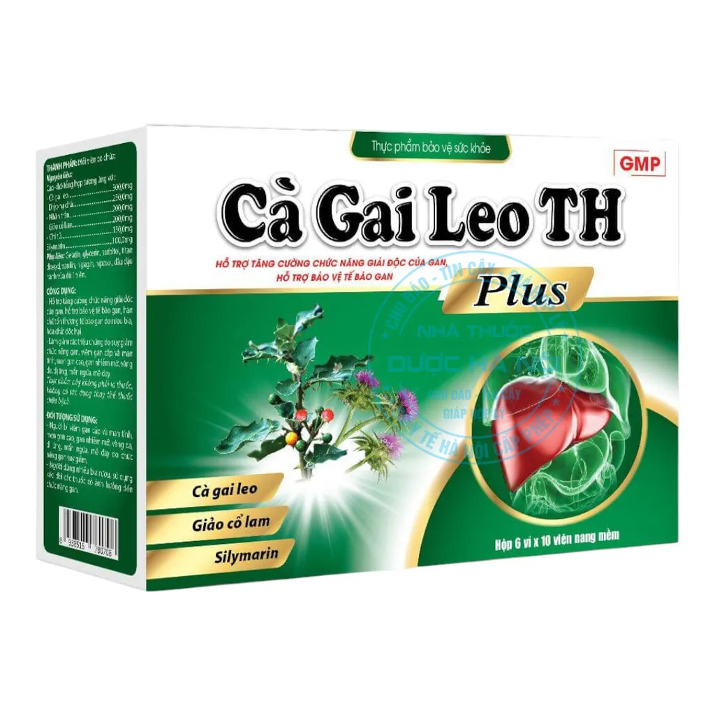 Cà Gai Leo Plus: Công dụng, cách dùng và những điều cần biết Gallery 1