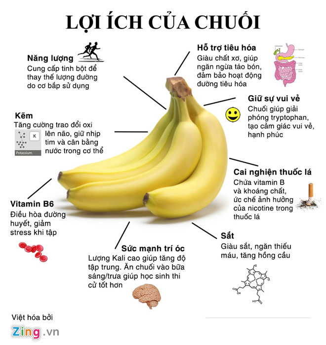 Công dụng của cây chuối trong đời sống