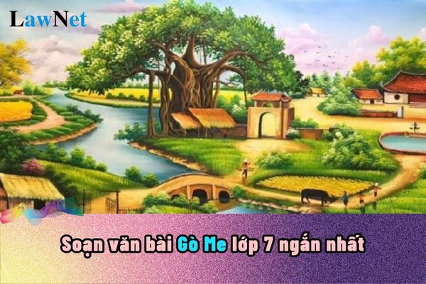 Gò Me Lớp 7: Tìm Hiểu Về Cây Gò Me Và Ý Nghĩa Của Nó Gallery 2