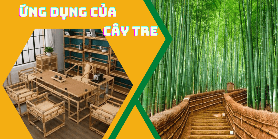 Công dụng của cây tre