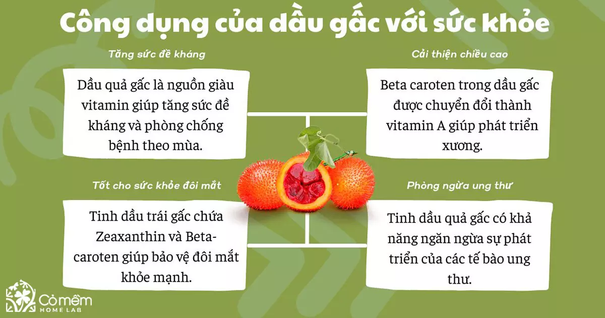 Công dụng tuyệt vời của dầu gấc đối với sức khỏe và sắc đẹp Gallery 1