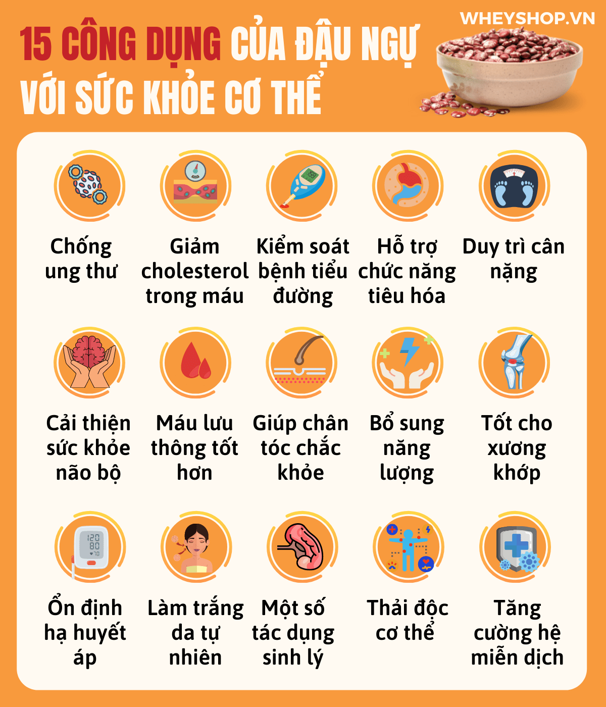 Công dụng tuyệt vời của đậu ngự đối với sức khỏe