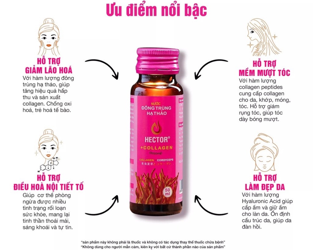 Dong Trùng Hạ Thảo Hector: Nguồn Gốc, Công Dụng Và Cách Sử Dụng Gallery 2
