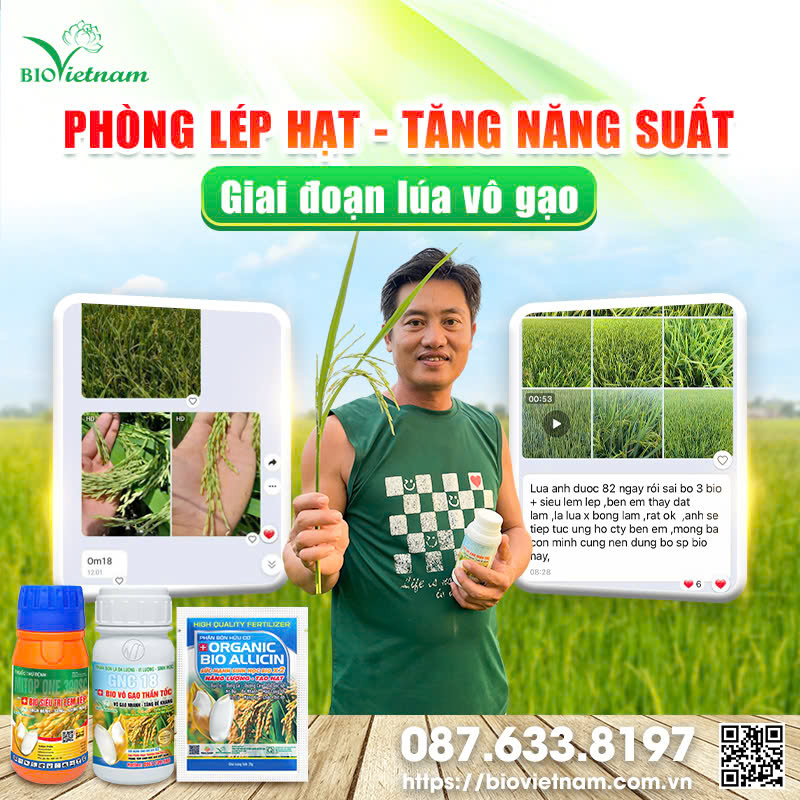 Giải Lụa Gallery 2