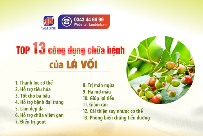 Công dụng tuyệt vời của lá vối đối với sức khỏe