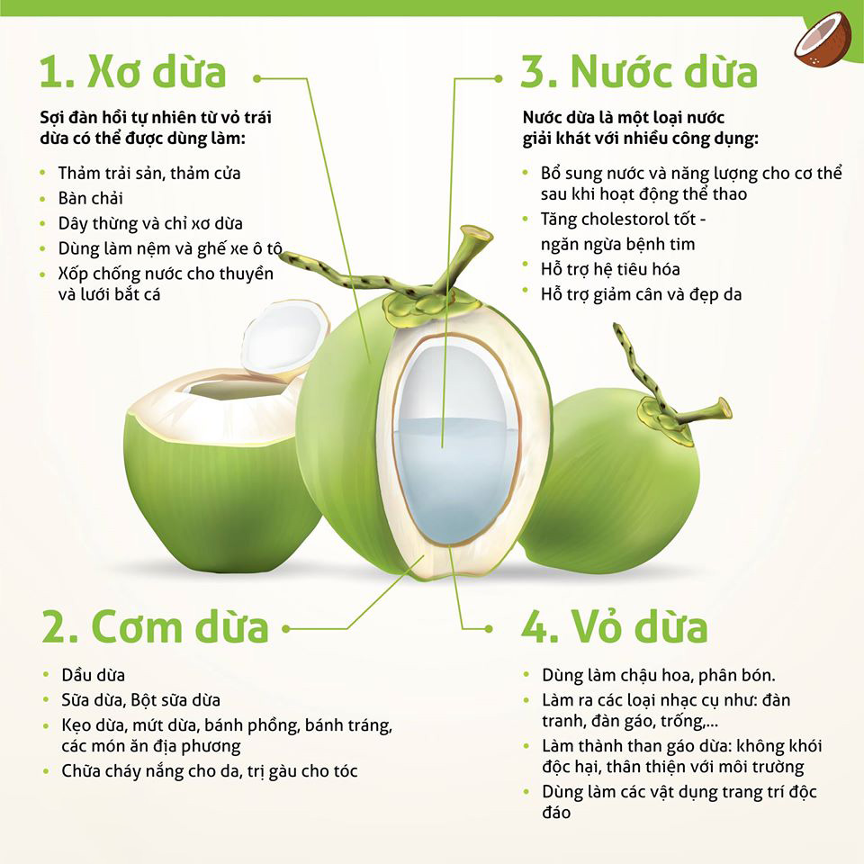 Công dụng tuyệt vời của nước dừa tươi