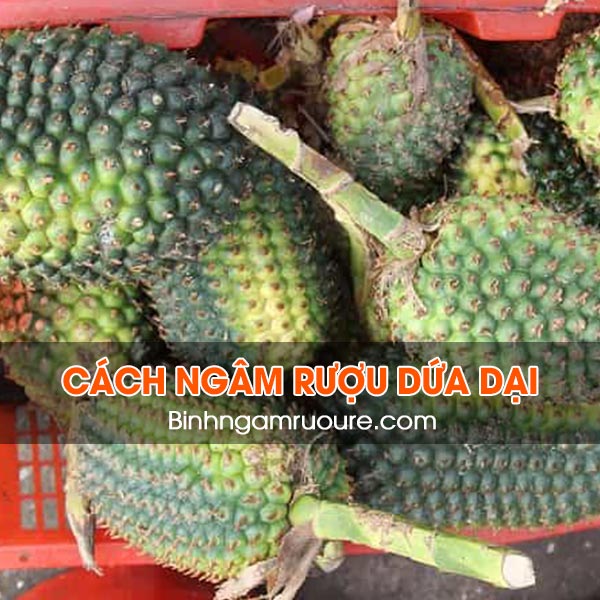 Quả Dứa Dại Tươi Gallery 2