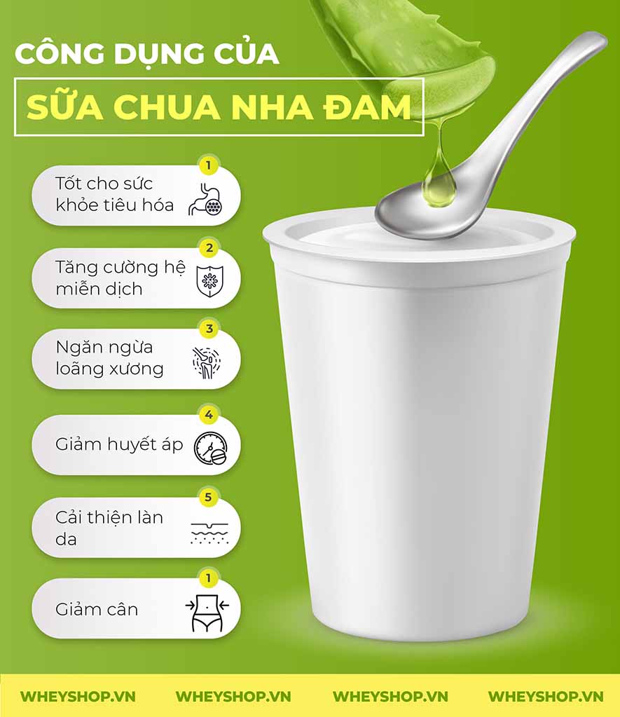 Sữa Chua Nha Đam Có Tác Dụng Gì? Gallery 1