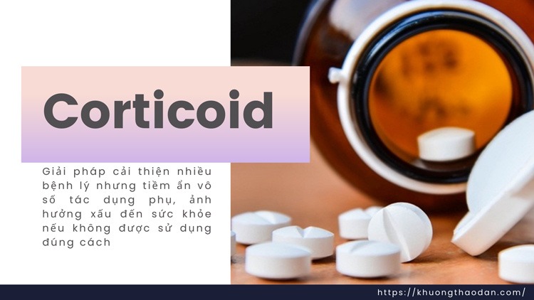 Thuốc Corticoid: Công dụng, Tác dụng phụ và Lưu ý khi sử dụng Gallery 2