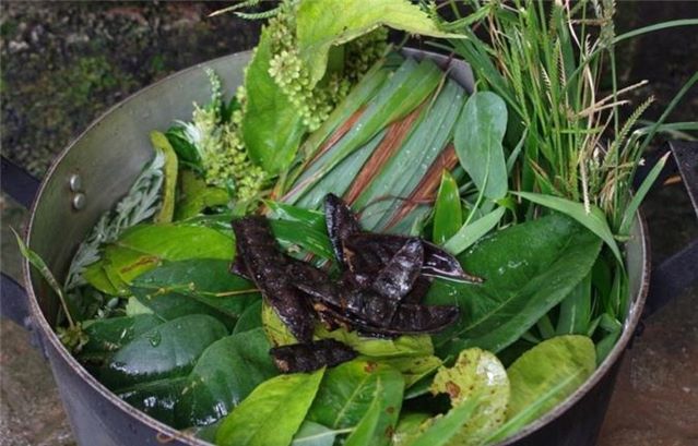 Lá xông gồm những lá gì? Gallery 1