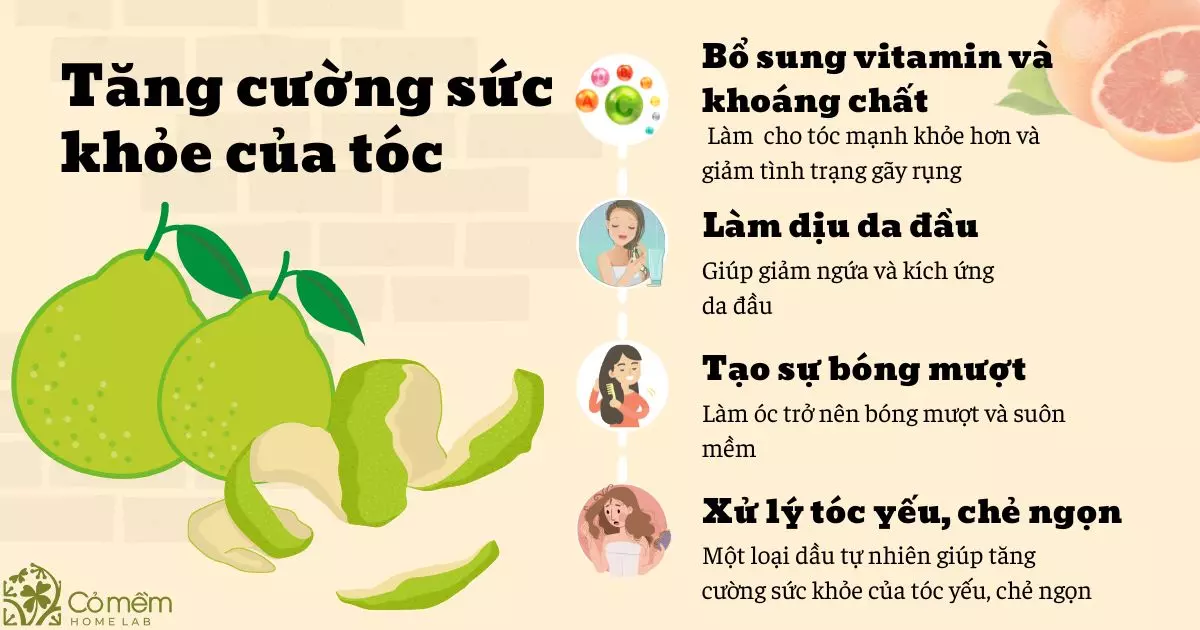 Vỏ bưởi có công dụng gì? Gallery 1
