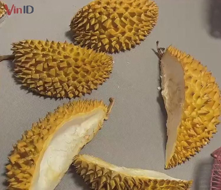 Công dụng của vỏ sầu riêng