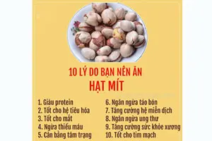 Công dụng hạt mít