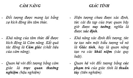 Lông Chó Mực Có Tác Dụng Gì? Gallery 2