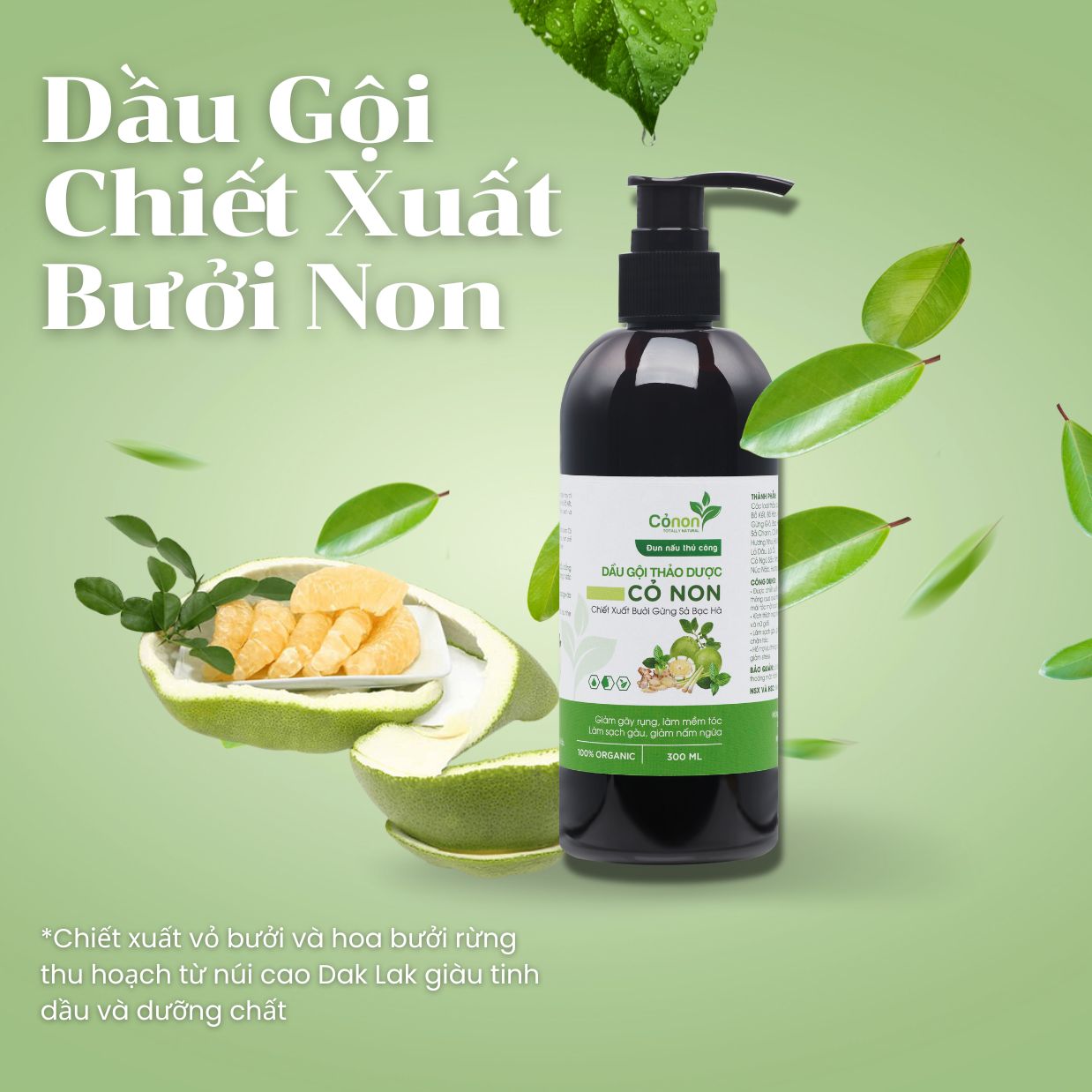 Dầu Gội Bưởi Non: Bí Quyết Cho Mái Tóc Khỏe Mạnh, Mượt Mà Gallery 1