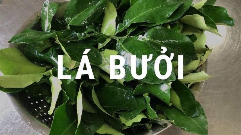 Tắm nước lá bưởi: Bí quyết chăm sóc tóc và da hiệu quả Gallery 1