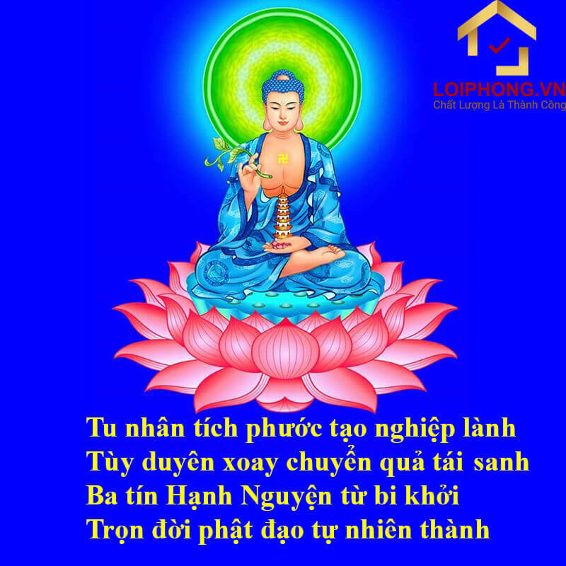 Tùng Kinh Dược Sư Gallery 2
