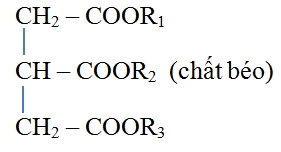 Công thức cấu tạo chất béo