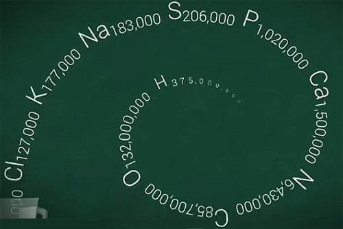 Công thức hóa học phân tử người
