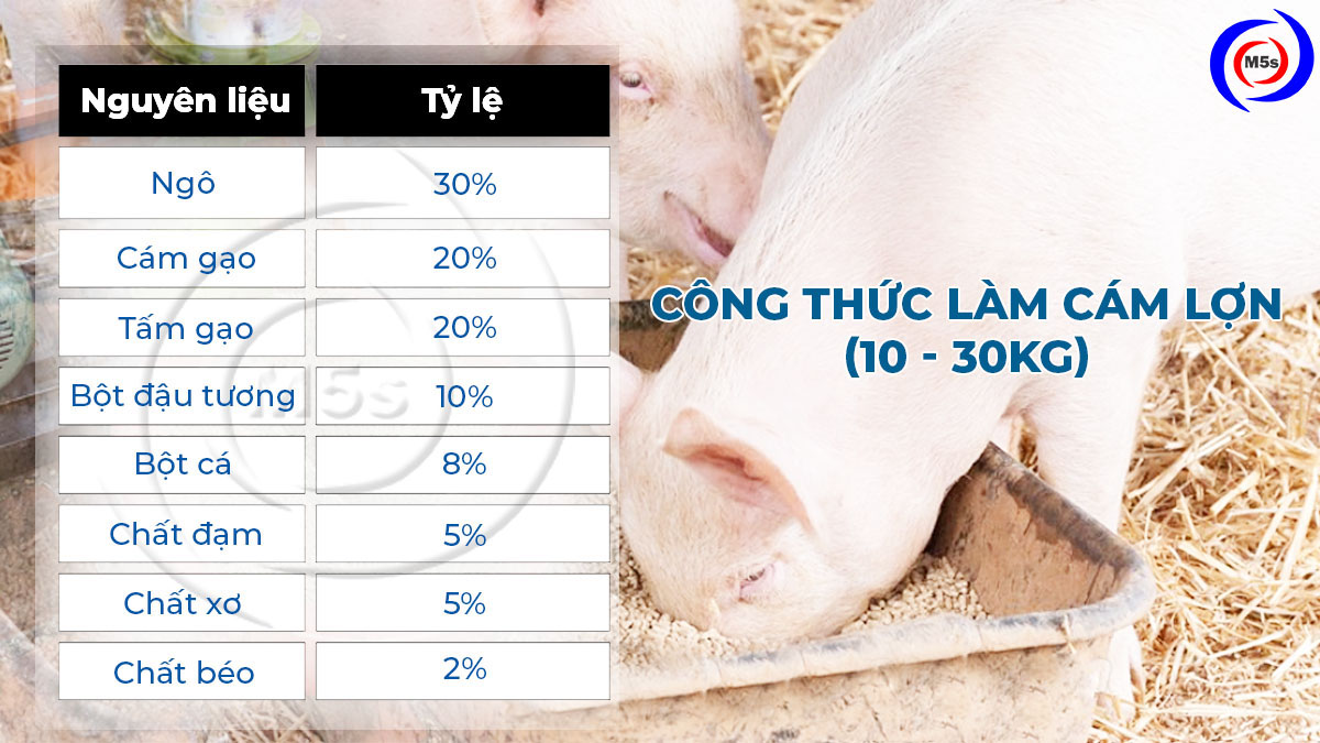 Công thức làm cám viên cho lợn