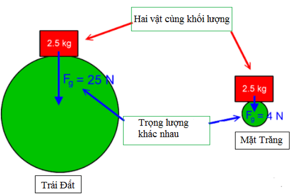 Công thức liên hệ giữa trọng lượng và khối lượng Gallery 1