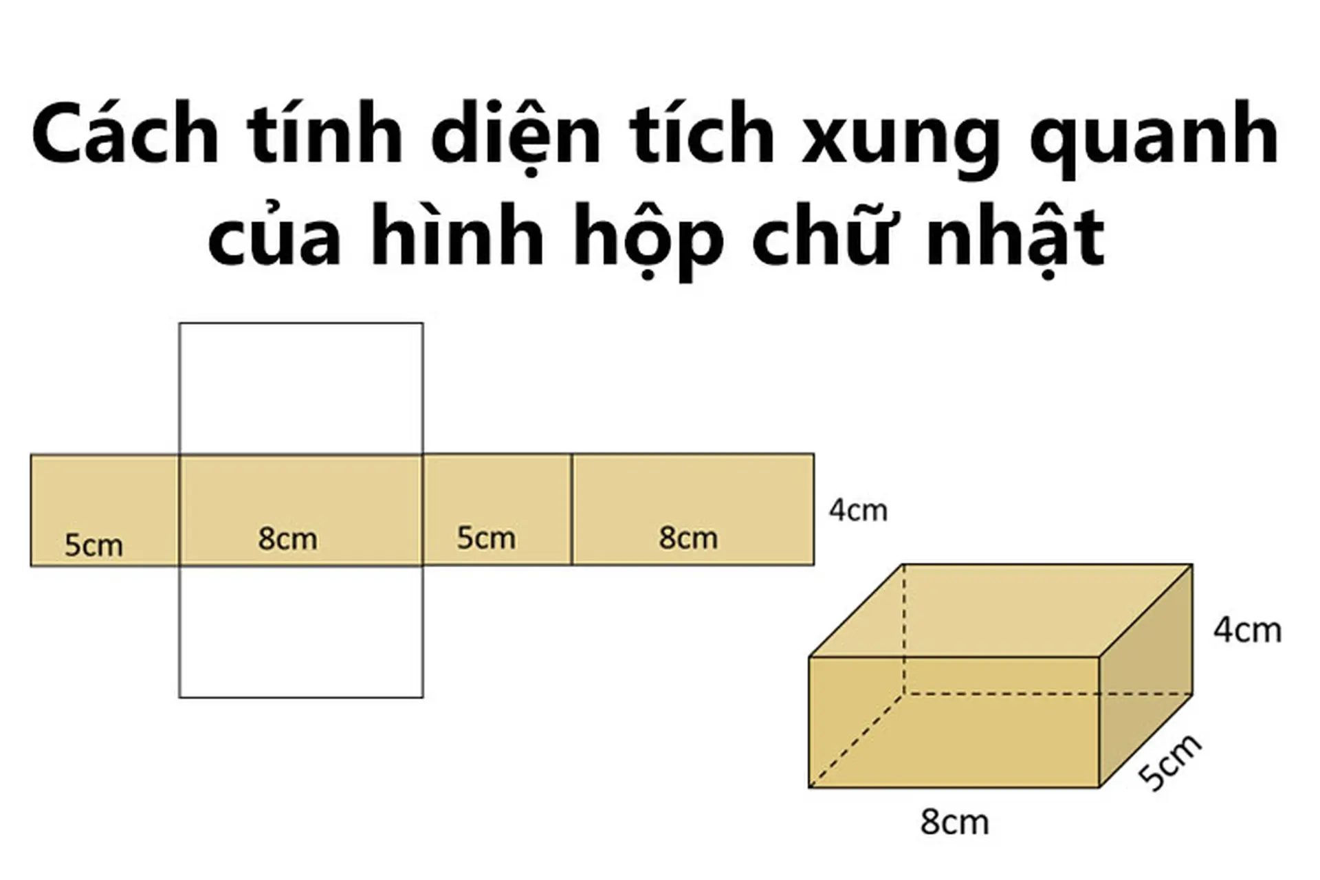 Diện tích xung quanh hình hộp chữ nhật Gallery 1
